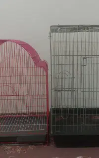 قفس