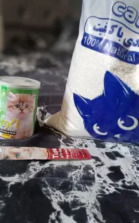 خاک گربه،کنسرو گربه،بستنی گربه
