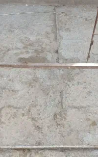 قفس کفتر مرغ