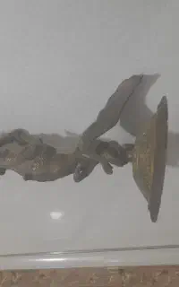 قلیون برنجی