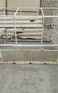 اطاق وانت پیکان