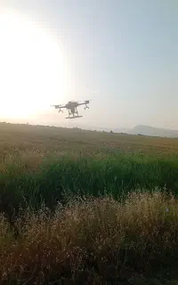 سمپاشی هوایی