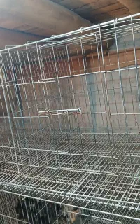 قفس مرغ تخم گذار  و بلدرچین