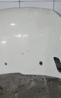 کاپوت ۲۰۶ سالم رنگ شده