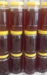 فروش عسل