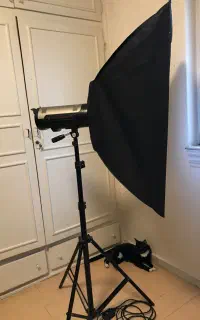 فلاش چتر