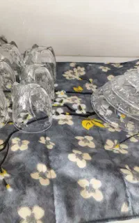 جاسیخی