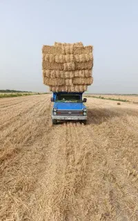 کاه نرم وپوخل