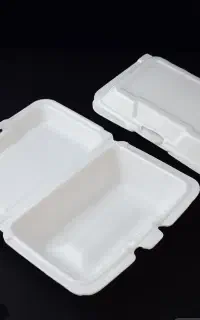 ظروف یکبار مصرف