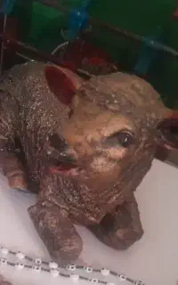 مجسمه
