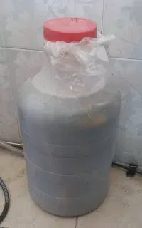 خیارشور