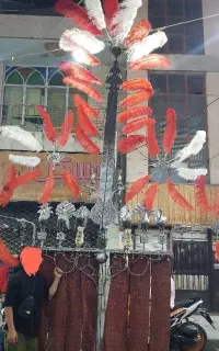 علامت محرم فوری فوری