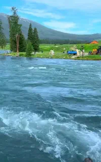 استخدام خودرو استیجاری