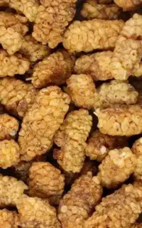 توت خشک عالی