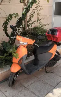پاکشتی لتزفور