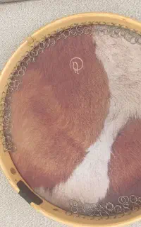 دف سالم و نو هستش