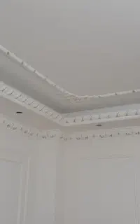 شاگرد نقاش ساختمان