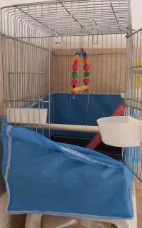 قفس عروس قلندی