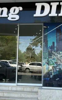هولدینگ دیما