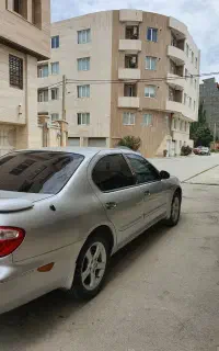 ماکسیما