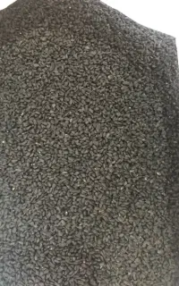 بذر سویا درجه ۱  کتول
