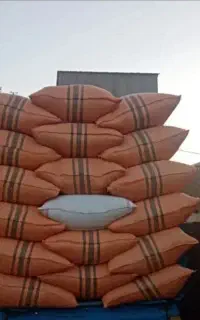 کیسه کاهی