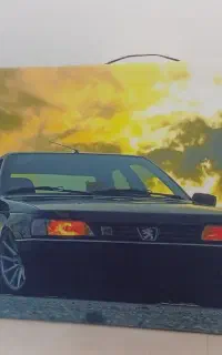 تابلو عکس 405