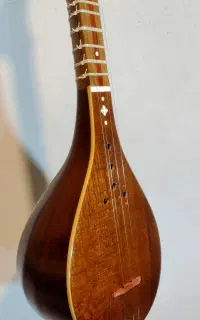 سه تار هاشمی