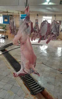 قصاب