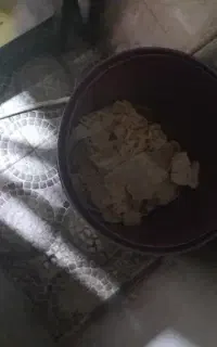 فروش نان خشک
