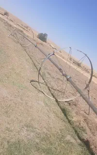 ویلمو.بارانی.