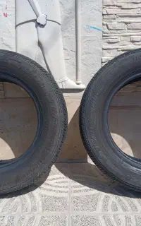 رینگ 14 . لاستیک 15