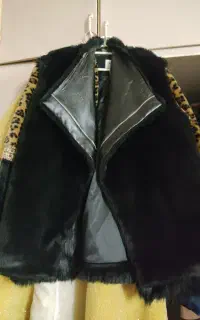 پالتو