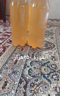 آبغوره ارگانیک خوشمزه تروتمیز کم نمک