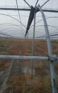 گلخانه