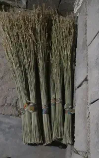 جارومحلی
