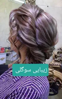 رنگ موولایت تخصصی واقتصادی