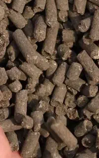 کود مرغی پوسیده شده