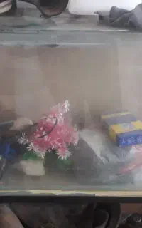اکواریوم و پایه فلزی