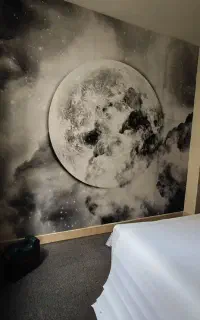 فروش و نصب کاغذ دیواری
