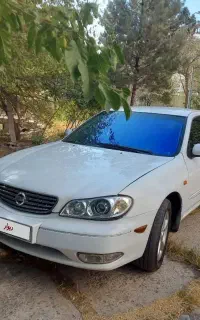 ماکسیما وارداتی مدل ۸۱