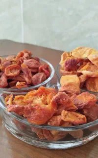 برگه زردآلو آفتابی