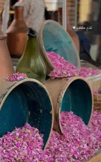 گلاب ممتاز