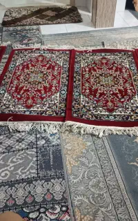 4عدد پادری سالم درحد