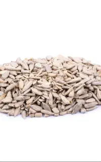 مغز تخمه سنقری