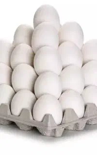 پخش عمده تخم مرغ