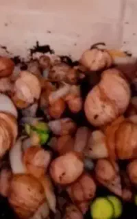 کار خانگی خودتو شروع کن