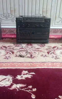 ضبط