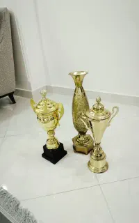 کاپ قهرمانی برنجی