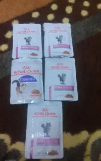 غذای گربه ROYAL CANIN  فروش فوری